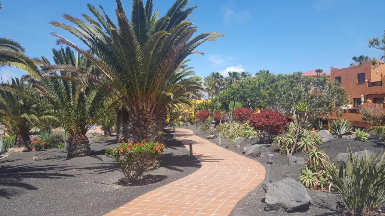 科拉雷侯Oasis Royal 3 Piscinas公寓 外观 照片