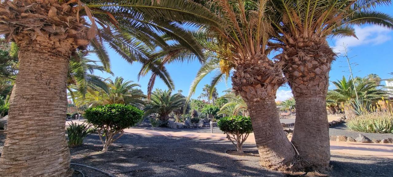 科拉雷侯Oasis Royal 3 Piscinas公寓 外观 照片